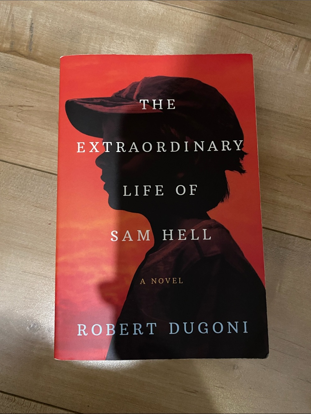 'The Extraordinary Life of Sam Hell' Book Cover Art - Red/Black
